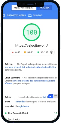 Punteggio su Pagespeed Insight di VelocitaWP